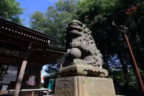 熊野福藏神社の狛犬