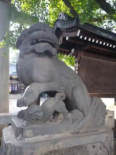 月見岡八幡神社の狛犬