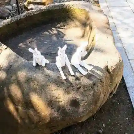 彌彦神社　(伊夜日子神社)の手水舎