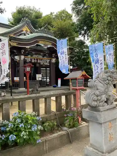 川越八幡宮(埼玉県)