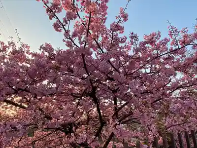 長円寺(京都府)