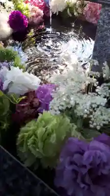 新琴似神社の手水舎