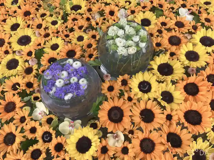 住吉神社の手水舎