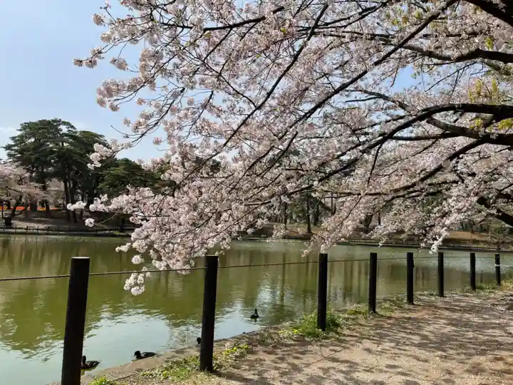 埼玉縣護國神社の自然