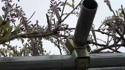 大松禅寺(京都府)