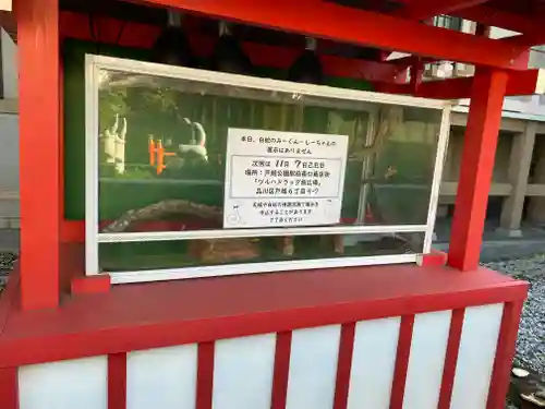 蛇窪神社(東京都)
