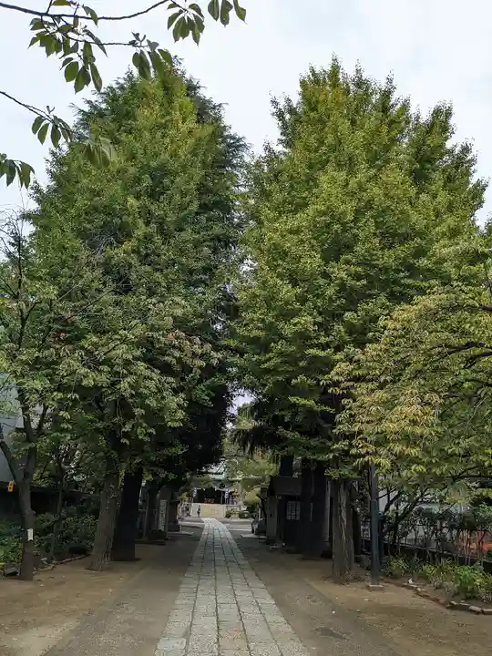 亀戸 香取神社(東京都)