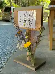 須山浅間神社(静岡県)