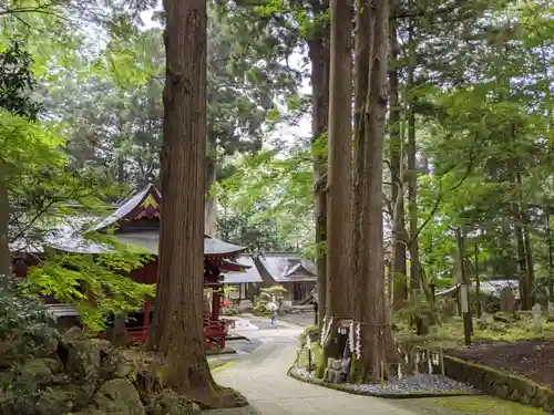 富士山東口本宮 冨士浅間神社の景色