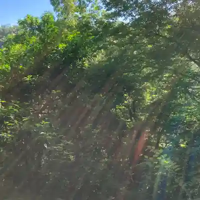 枚岡神社神津嶽本宮の自然