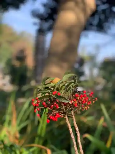 横浜　西方寺の自然