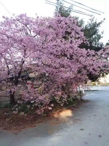 井伊谷宮の自然