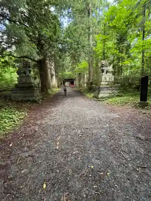 戸隠神社奥社(長野県)