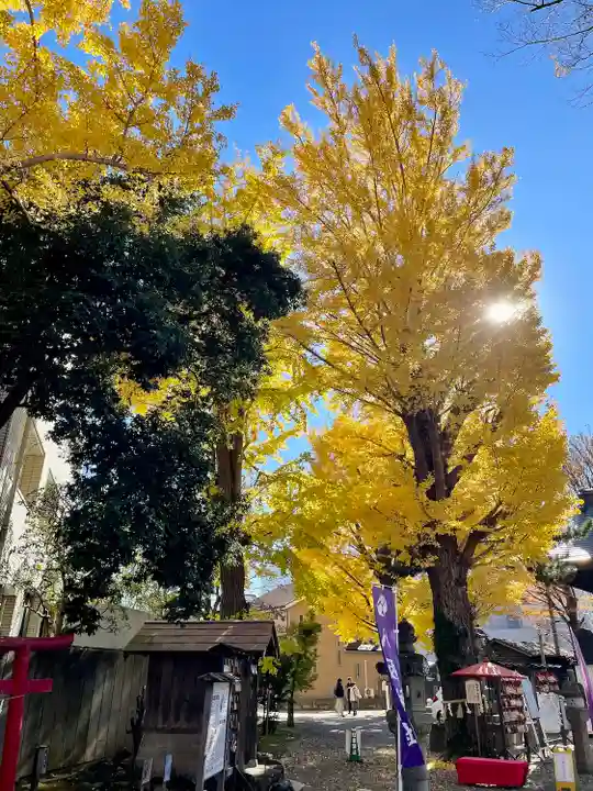 取手八坂神社(茨城県)