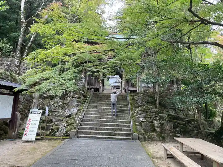 大窪寺の自然