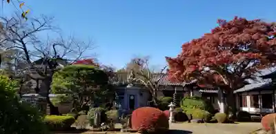 國分寺のその他建物