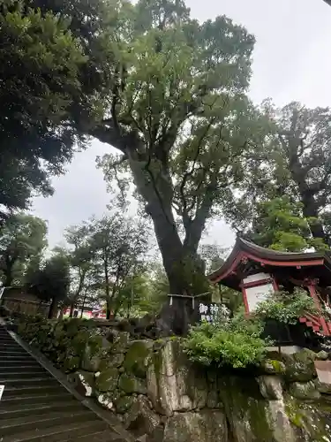 鹿児島神宮(鹿児島県)