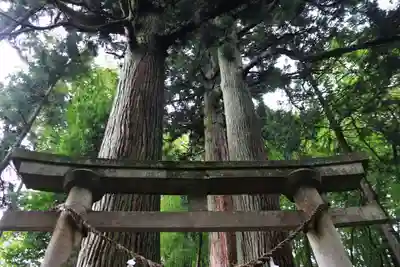 住吉玉津島神社の鳥居