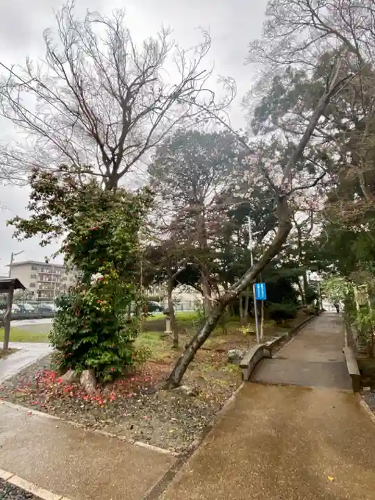 天穂日命神社(京都府)
