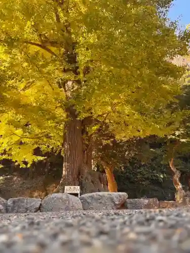 安房神社(千葉県)