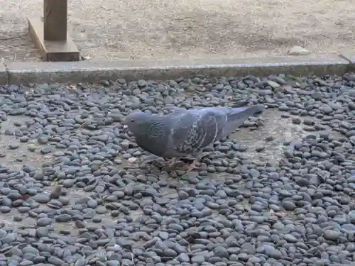 豊川稲荷東京別院(東京都)