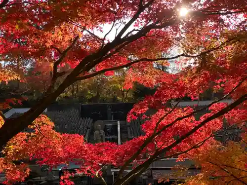 鉾立山天王院の自然
