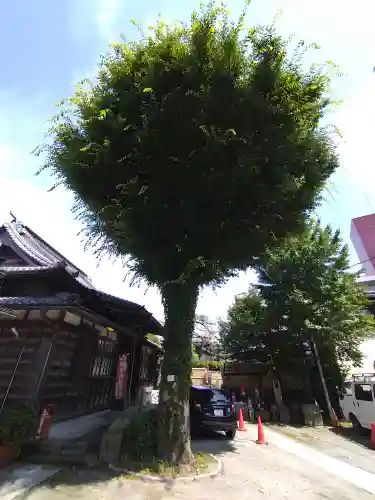 魚籃寺(東京都)