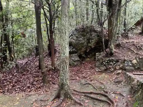 熊野神社の自然