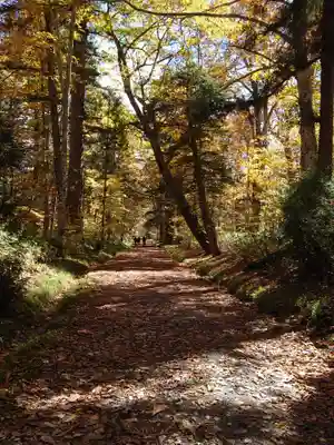戸隠神社九頭龍社(長野県)