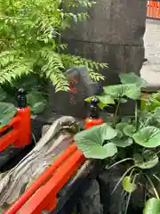 田無神社(東京都)