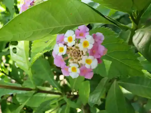 栄松院(東京都)