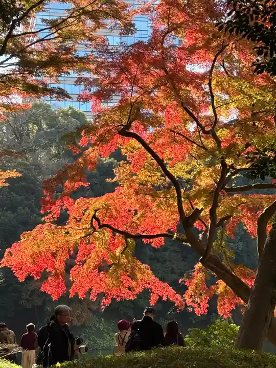 善國寺(東京都)