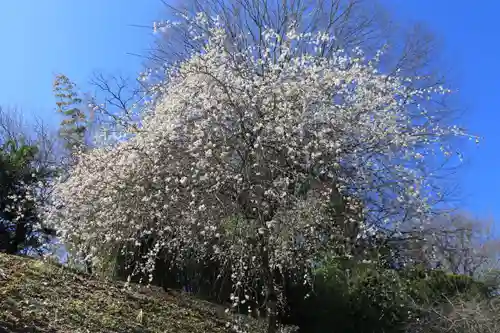 鹿島大神宮の庭園