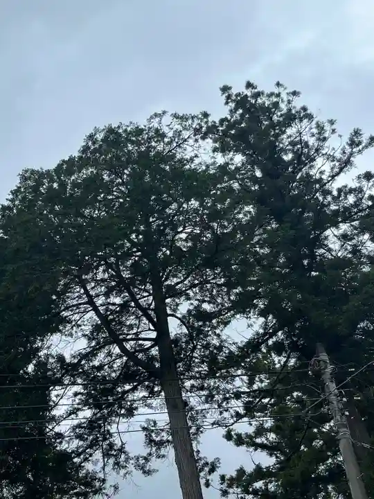 鬼鎮神社(埼玉県)