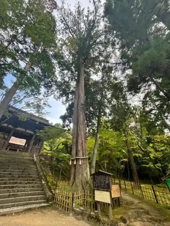 西明寺(滋賀県)