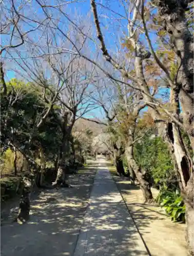 極楽寺（霊鷲山感應院極楽律寺）のその他建物