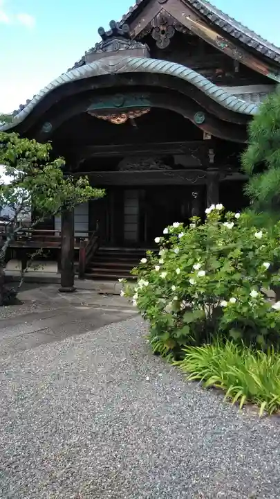 得浄明院(善光寺別院)(京都府)
