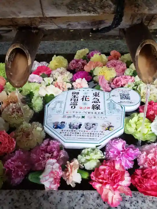青山熊野神社(東京都)