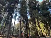 大宮温泉神社(栃木県)
