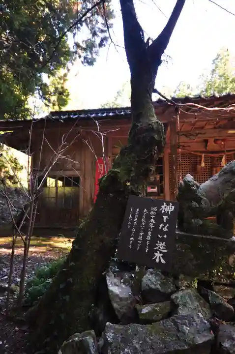 三瀧神社(愛媛県)