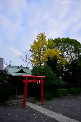 稲毛神社(神奈川県)