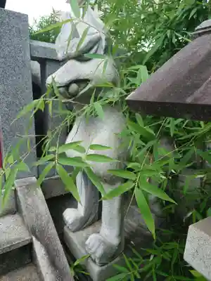 堀切天祖神社の狛犬