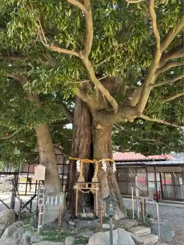 嶺白山神社(東京都)