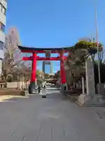 富岡八幡宮(東京都)