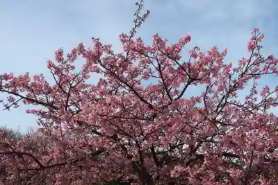 北室院(愛知県)