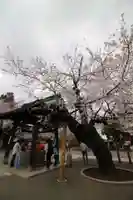 喜多院(埼玉県)