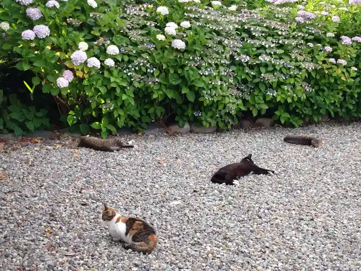 喜見寺(愛知県)
