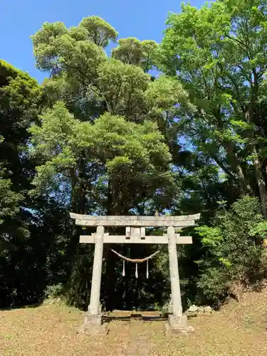 八幡神社の鳥居