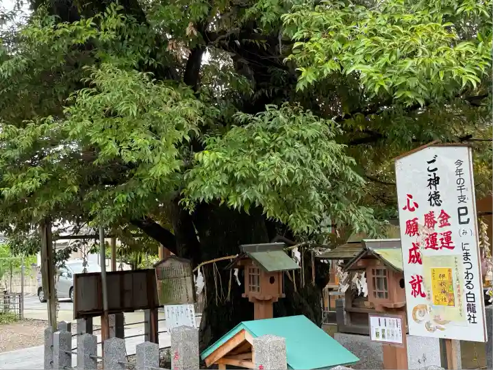伊奴神社(愛知県)
