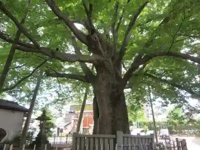 神明宮(石川県)